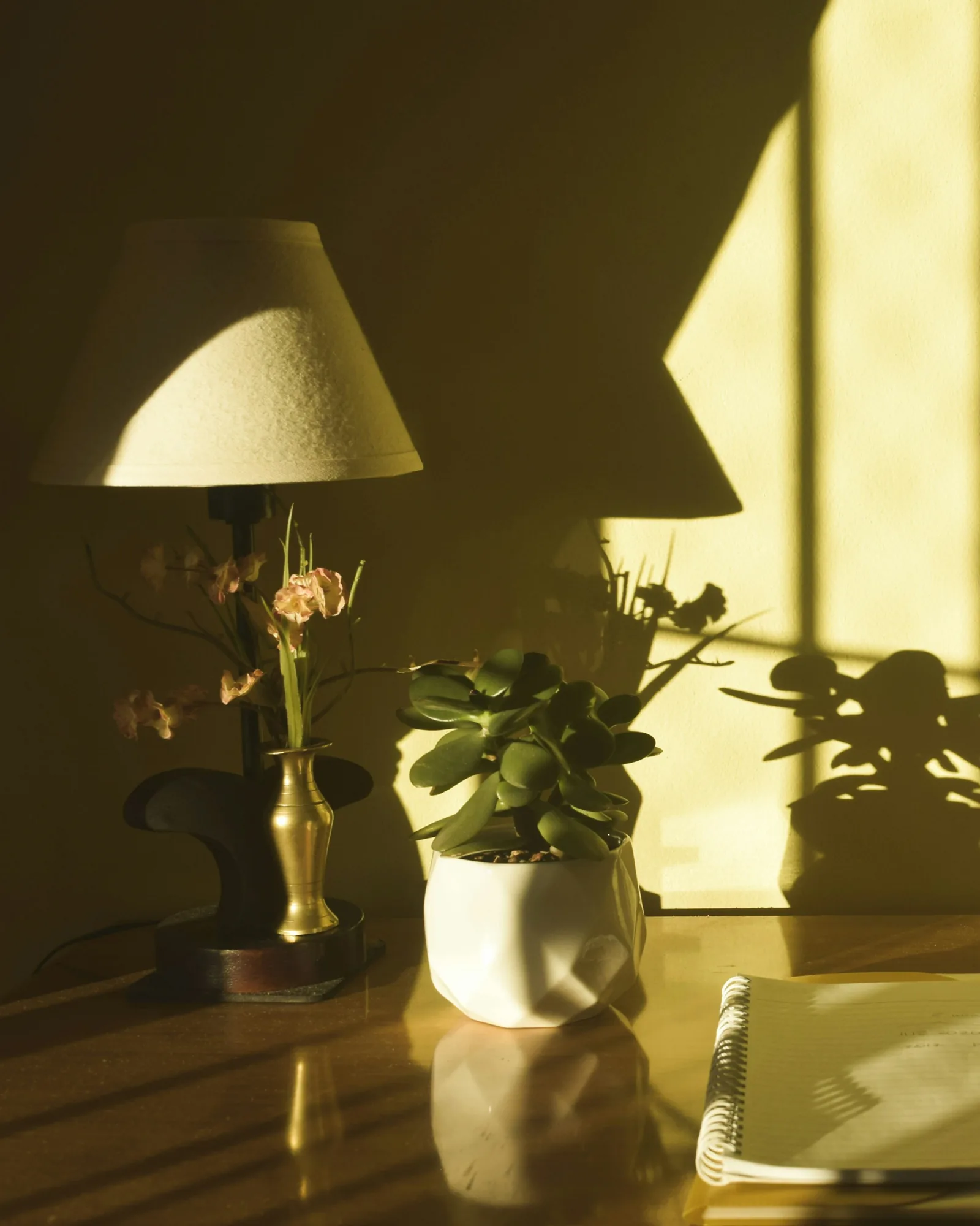 A desk in warm afternoon light with a lamp, a potted plant and an open notebook